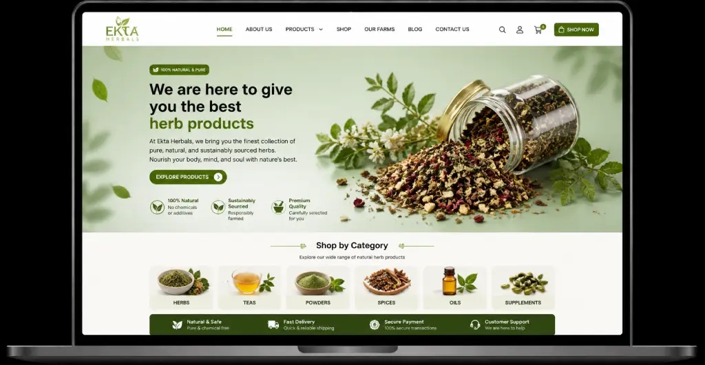 Web Development