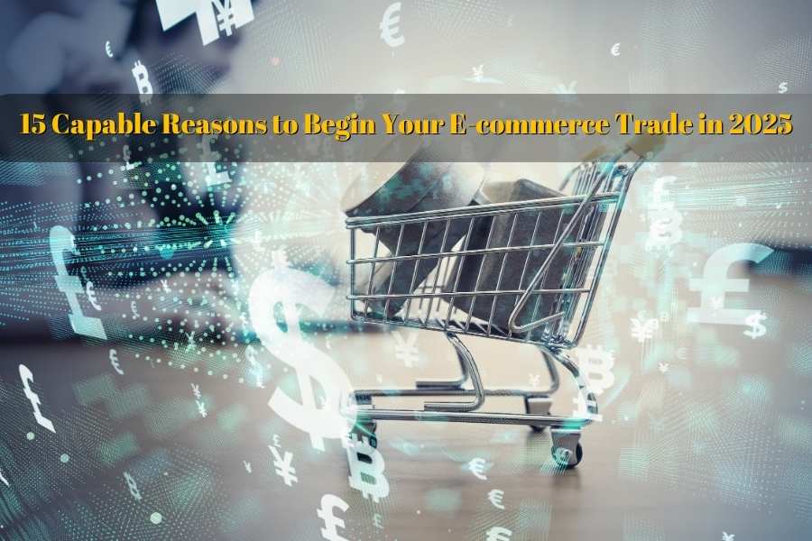 15 Capable Reasons to Begin Your E-commerce Trade in 2025